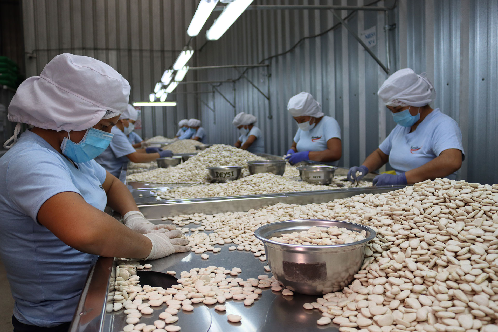 Contract Manufacturing Services
