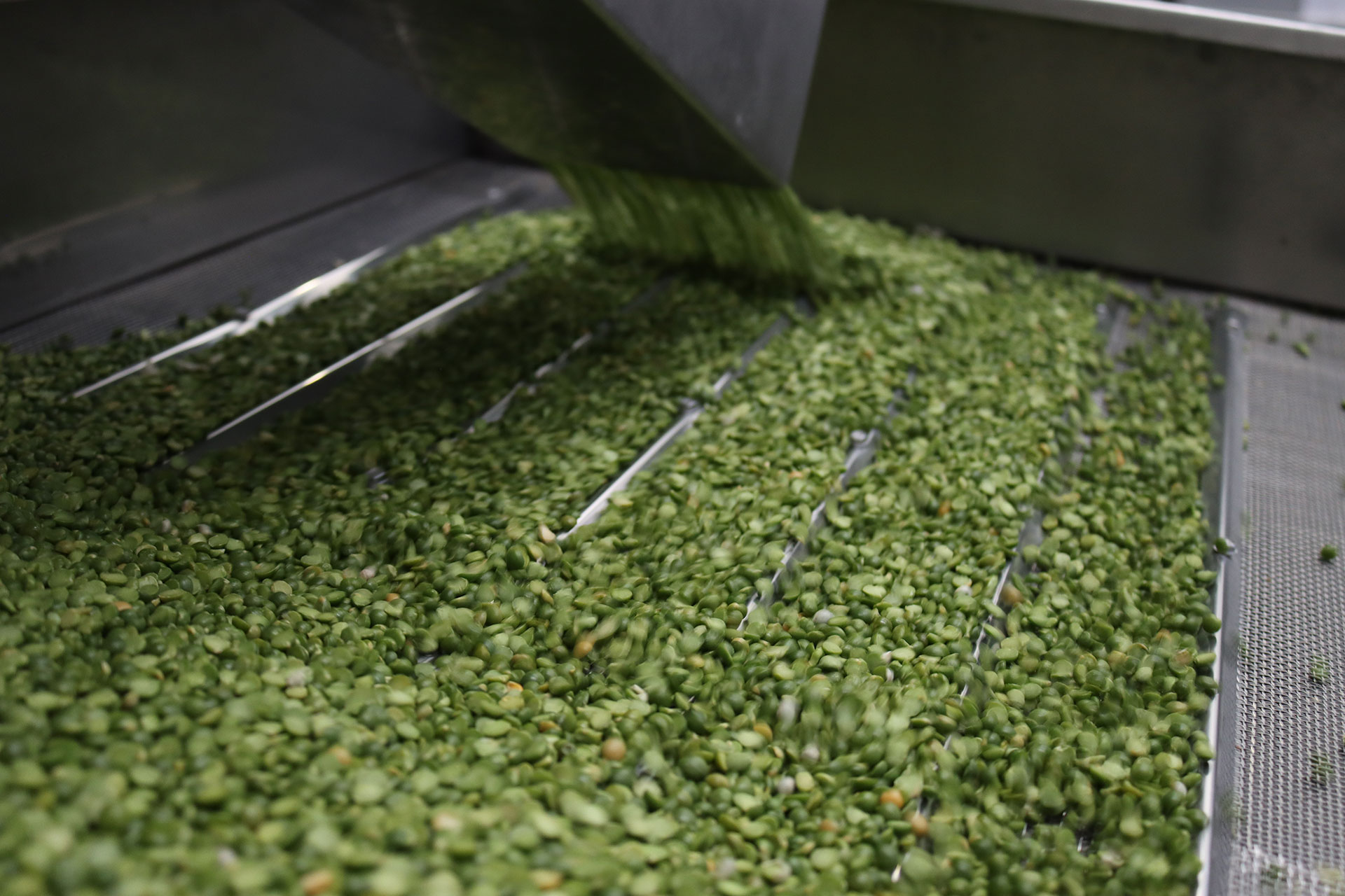Raw Material Optical Sorting