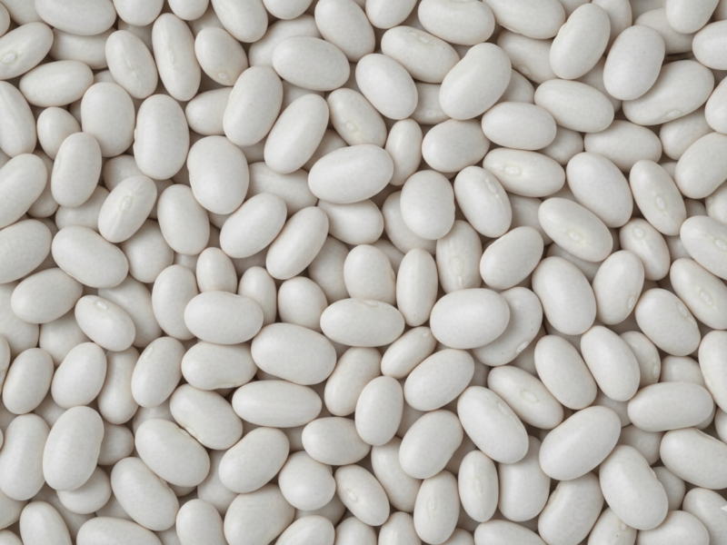 Caballero Bean