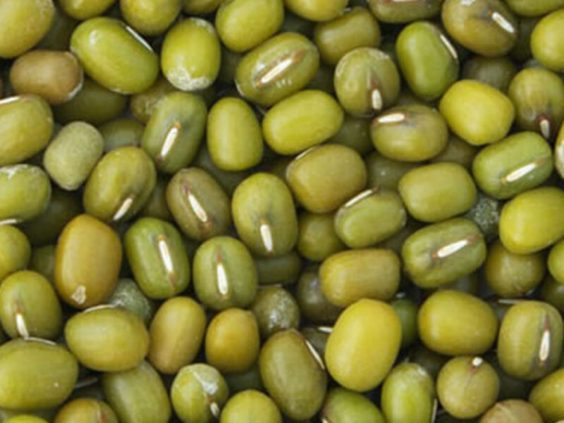 Mung Bean
