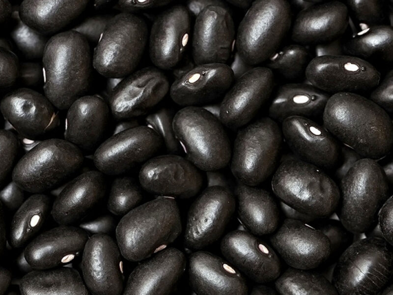 Frijol Negro