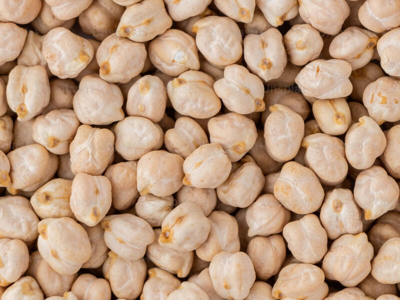 Garbanzo