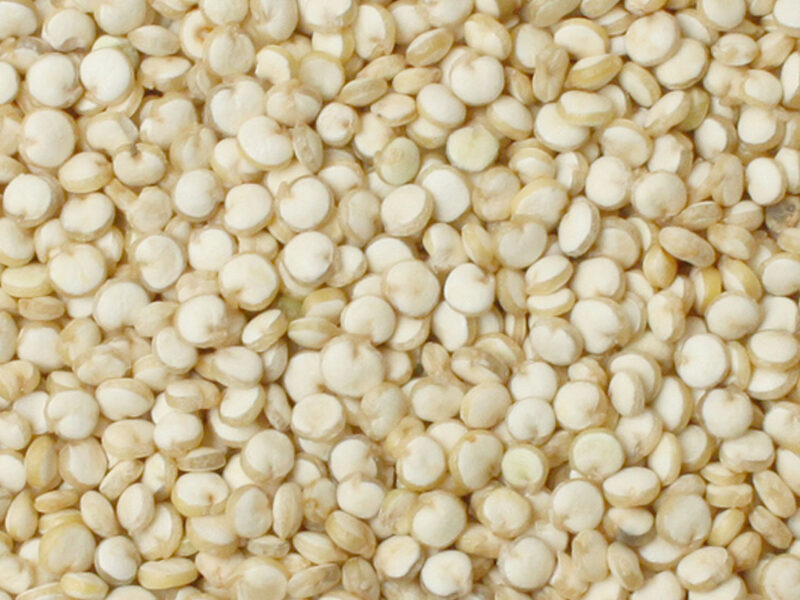 White Quinoa