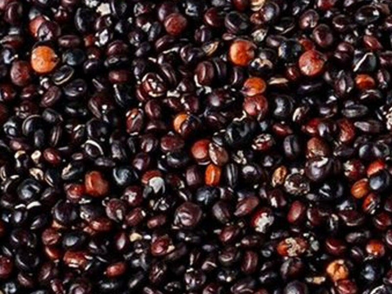 Black Quinoa