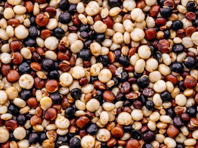 Tricolor Quinoa