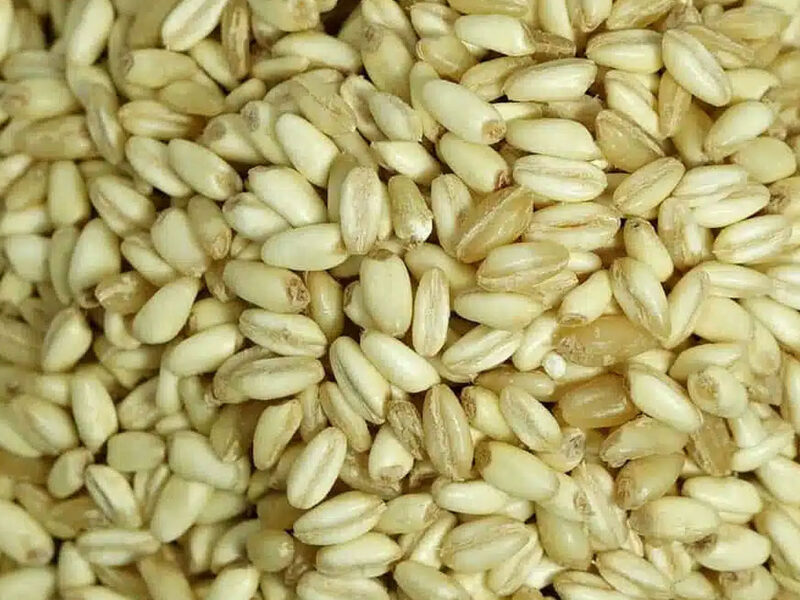 Hulled Wheat